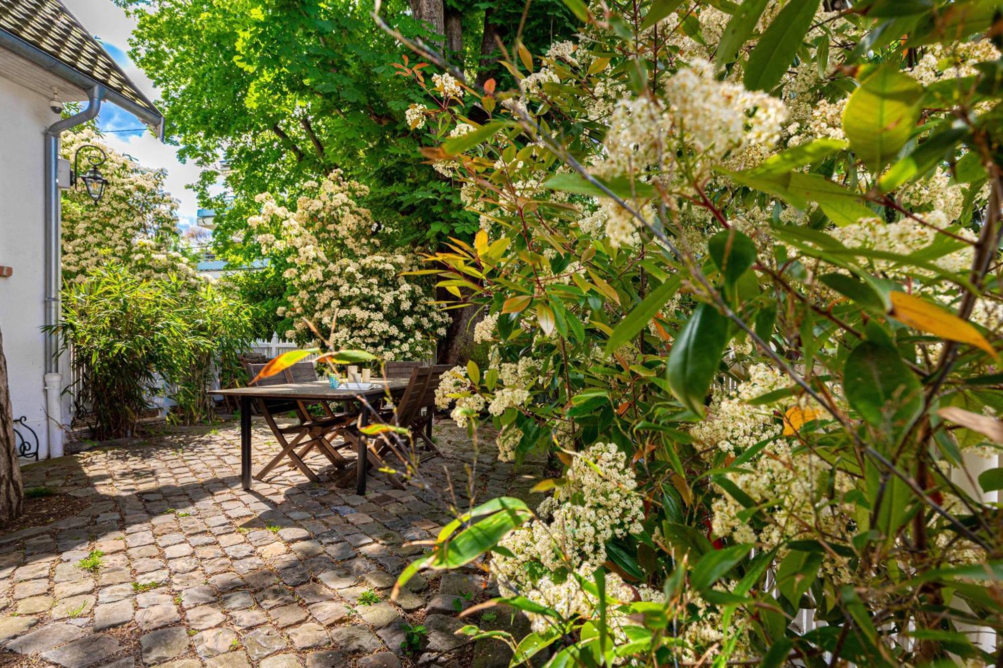 Grand & Classy Apartment With Private Garden, Villa Des Ammonites Meudon Exterior photo
